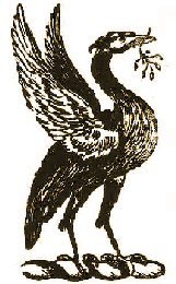 Cormorant Liver Bird